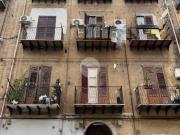 Appartamento in affitto a Palermo PA