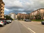 Appartamento in affitto a Palermo PA