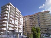 Appartamento in affitto a Palermo PA