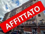 Appartamento in affitto a Palermo PA