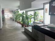 Appartamento in affitto a Palermo PA