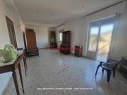 Appartamento in affitto a Palermo PA