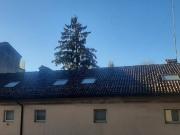 Appartamento in affitto a Piacenza PC