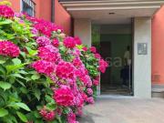 Appartamento in affitto a Piacenza stradone farnese,...