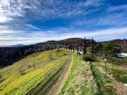 Appartamento in affitto a Pianoro via di Jano, 8, non...