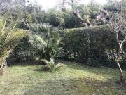 Appartamento in affitto a Pietrasanta, giardino, posto...