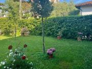 Appartamento in affitto a Pietrasanta LU