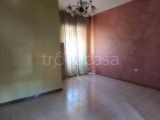 Appartamento in affitto a Pignataro Maggiore, posto...
