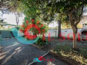 Appartamento in affitto a Pisa