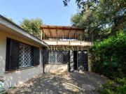 Appartamento in affitto a Pisa 50 mq Rif: 1325293