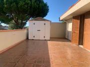 Appartamento in affitto a Pisa PI