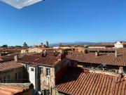 Appartamento in affitto a Pisa PI