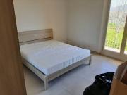 Appartamento in affitto a Pisa PI