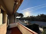 Appartamento in affitto a Pisa PI
