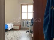 Appartamento in affitto a Pisa, arredato, cucina...