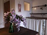 appartamento in affitto a pontedera