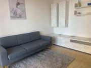 appartamento in affitto a pontedera