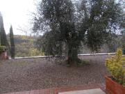 Appartamento in affitto a Pontedera, arredato, posto...