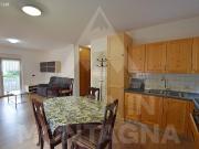 Appartamento in affitto a Predazzo