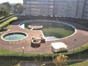 Appartamento in affitto a Ravenna RA
