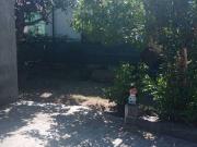 Appartamento in affitto a Rimini viale Siena, 12,...