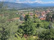 Appartamento in affitto a Rivoli viale Cardinale...