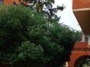 Appartamento in affitto a Roma, Garbatella
