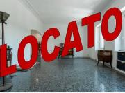 Appartamento in affitto a Roma lungotevere della...