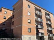Appartamento in affitto a Roma RM