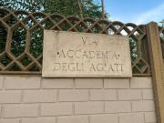 Appartamento in affitto a Roma RM