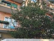 Appartamento in affitto a Roma RM