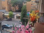Appartamento in affitto a Roma RM