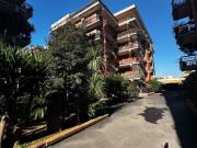 Appartamento in affitto a Roma RM