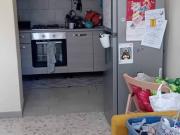 Appartamento in affitto a Roma RM