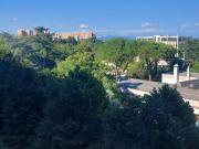 Appartamento in affitto a Roma RM