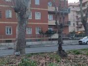 Appartamento in affitto a Roma RM