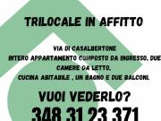 Appartamento in affitto a Roma RM
