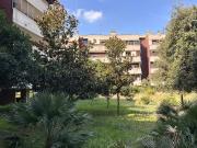 Appartamento in affitto a Roma RM