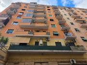 Appartamento in affitto a Roma RM
