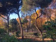 Appartamento in affitto a Roma RM