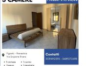 Appartamento in affitto a Roma RM