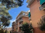 Appartamento in affitto a Roma RM