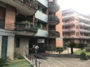 Appartamento in affitto a Roma RM