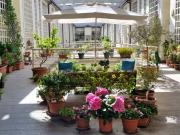 Appartamento in affitto a Roma RM