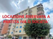 Appartamento in affitto a Roma RM