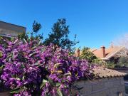 Villetta a schiera in affitto a Roma RM