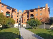 Appartamento in affitto a Roma RM