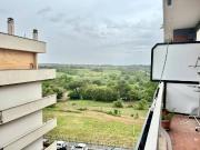 Appartamento in affitto a Roma RM