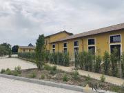 Appartamento in affitto a Roma RM