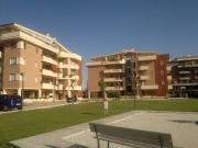 Appartamento in affitto a Roma RM